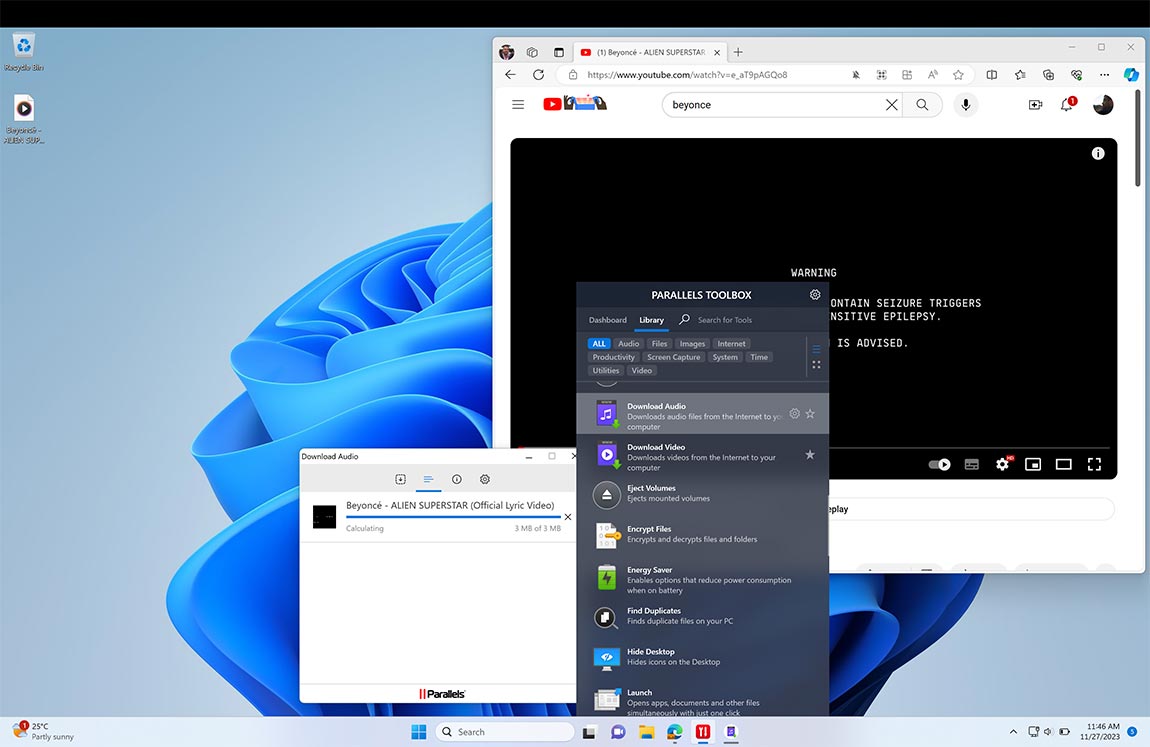 Download Audio screen