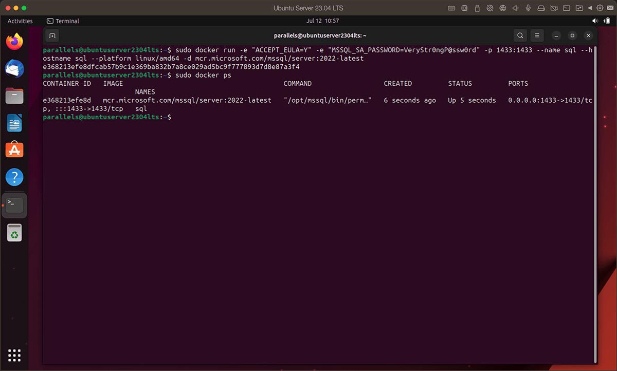 Run Intel binaries in Linux on a Mac with Apple silicon