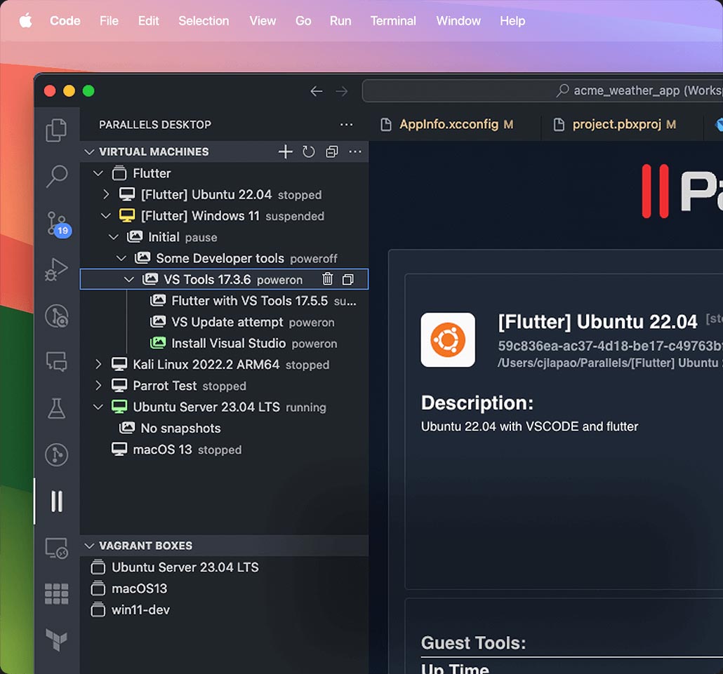 Use Visual Studio Code extension to quickly spin up, group, and orchestrate VMs and Vagrant boxes from the same place you use to code